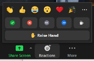 zoom-reactions.png